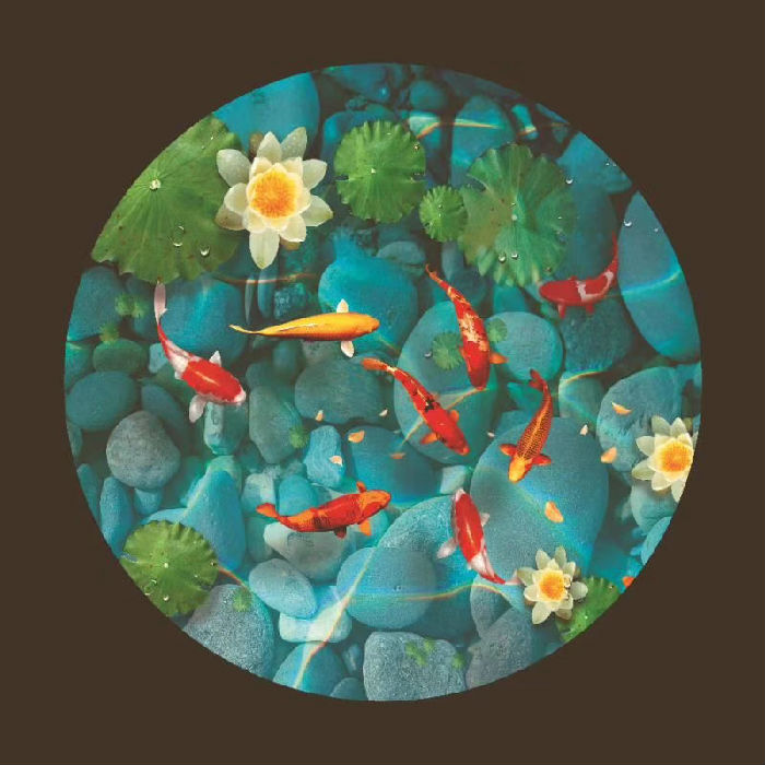 投影效果 (28).jpg