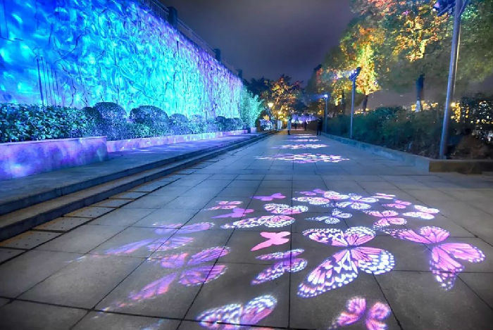 投影效果 (10).jpg