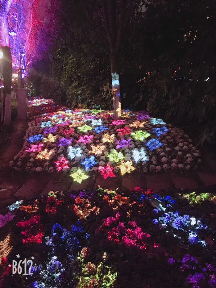 投影效果 (13).jpg